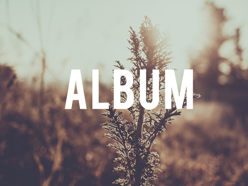album