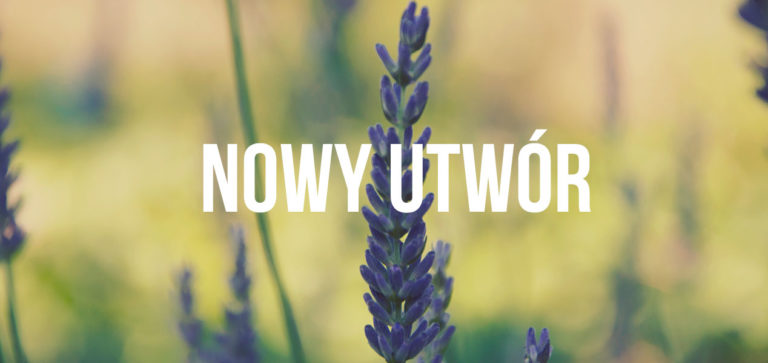 Zespół Mama Selita utworem 303 upamiętnił 75 rocznicę bitwy o Anglię