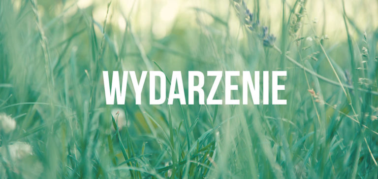 Koncert grupy Dr. Misio i Polska B Zespół