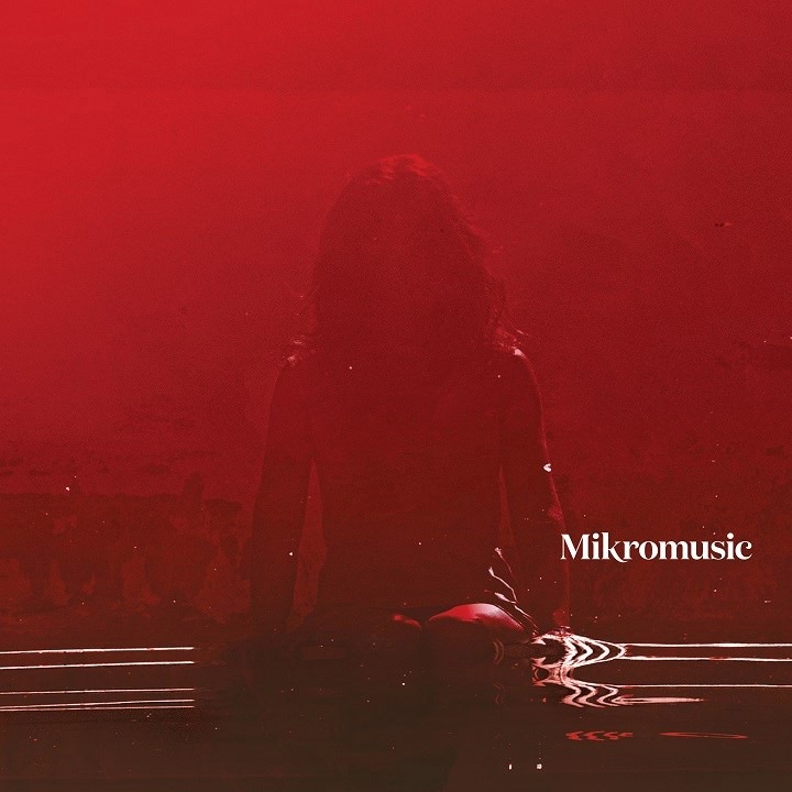 Zespół Mikromusic wystąpi w Toruniu Zespół Mikromusic wystąpi w Toruniu