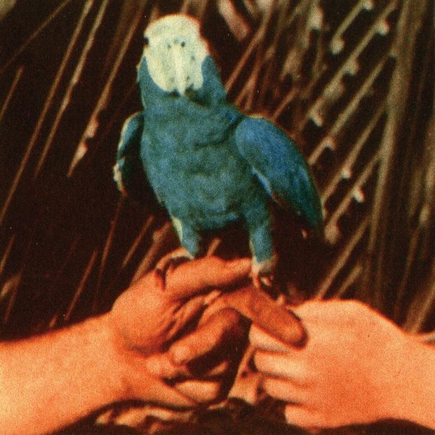 Andrew Bird – Are You Serious (2016), recenzja Piotra Krajewskiego Andrew Bird – Are You Serious (2016), recenzja Piotra Krajewskiego
