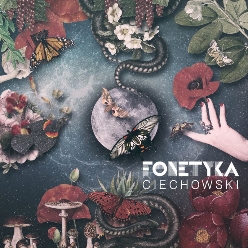 Fonetyka – Ciechowski (2016), recenzja Karoliny Kozłowskiej Fonetyka – Ciechowski (2016), recenzja Karoliny Kozłowskiej