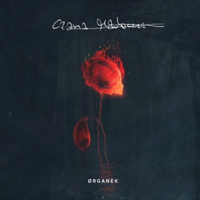 Organek - Czarna Madonna