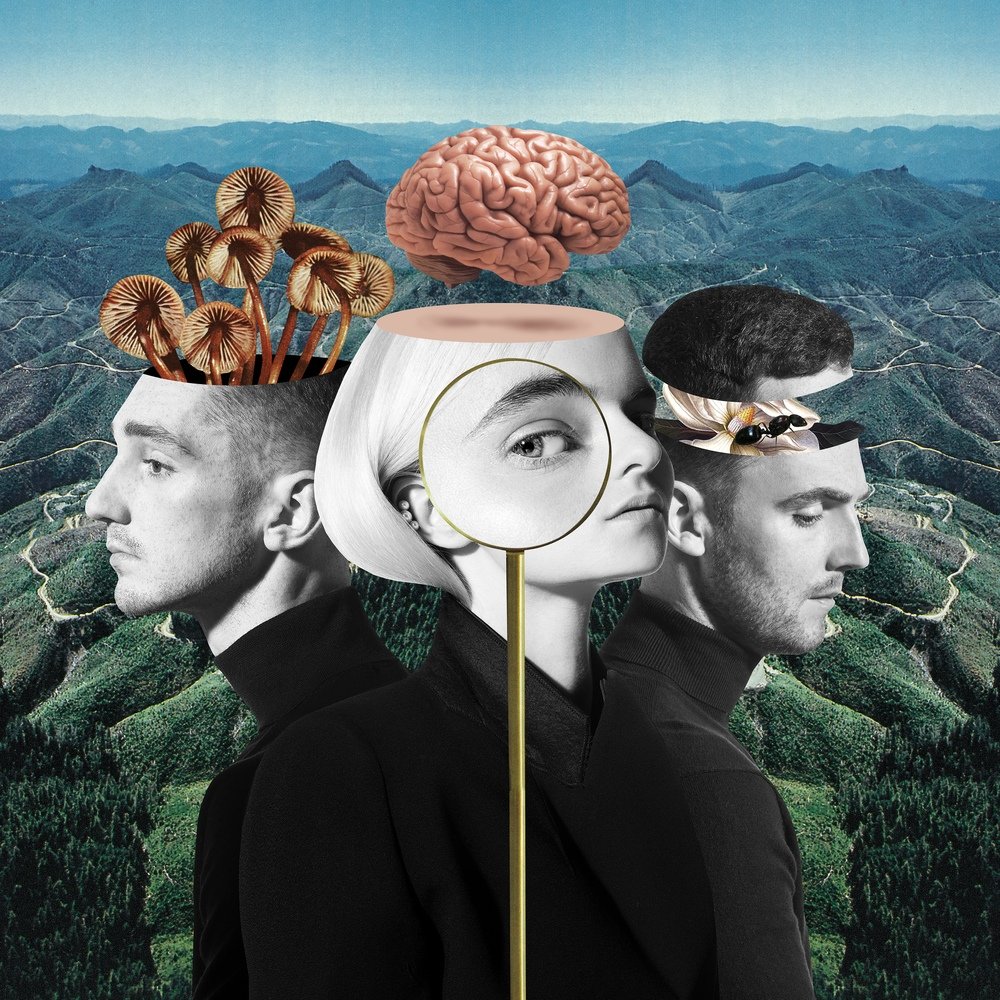 Clean Bandit what Is Love 2018