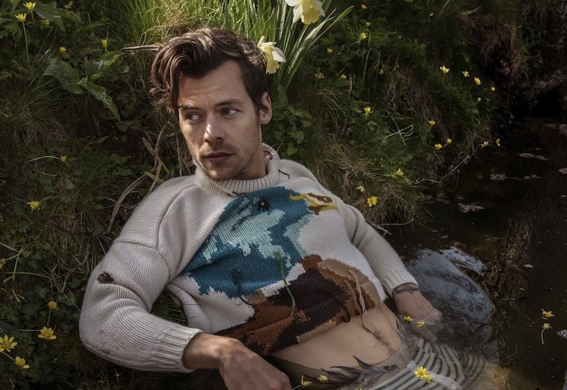 Harry Styles zapowiada trasę koncertową Harry Styles zapowiada trasę koncertową